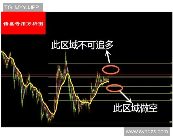 独家分析：西安攀岩队的战术对比